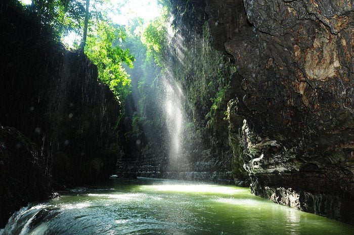canyon vet java